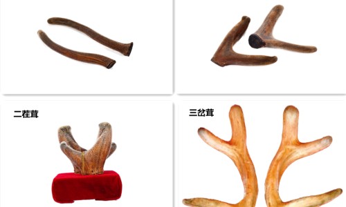 三七通舒胶囊价格-三七通舒胶囊与血塞通网 | 三七通舒胶囊价格,三七通舒胶囊的成分