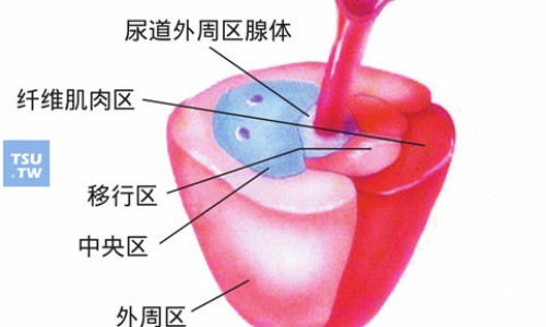 三七通舒胶囊价格-三七通舒胶囊与血塞通网 | 三七通舒胶囊价格,三七通舒胶囊的成分