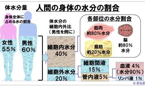 三七通舒胶囊价格-三七通舒胶囊与血塞通网 | 三七通舒胶囊价格,三七通舒胶囊的成分
